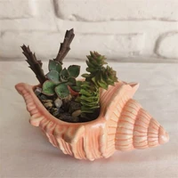 shell shape concrete flowerpot molds for diy large conch succulent planting container cement silicone mold jewelry storage tool
