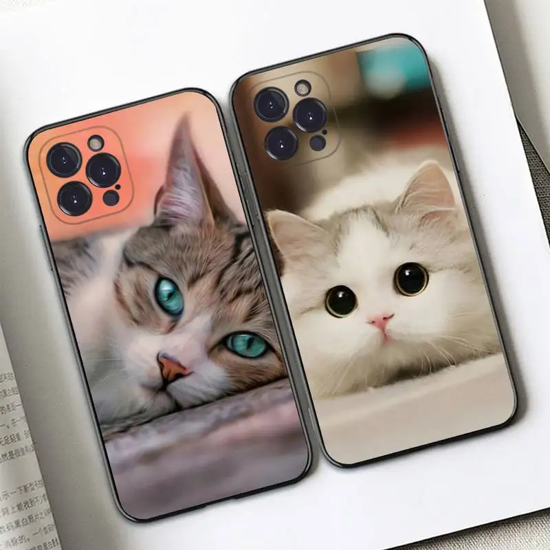 

Cute Cat Kitten Phone Case Silicone Soft For iphone 14 13 12 11 Pro Mini XS MAX 8 7 6 Plus X 2020 XR Shell