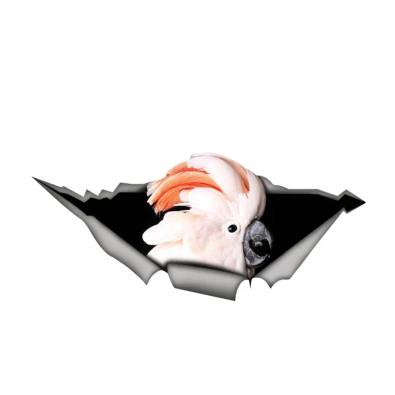 

Z215# Car Sticker Cockatoo Parrot Waterproof Vinyl Decal Car Accessories Pegatinas Para Coche DIY Car Styling