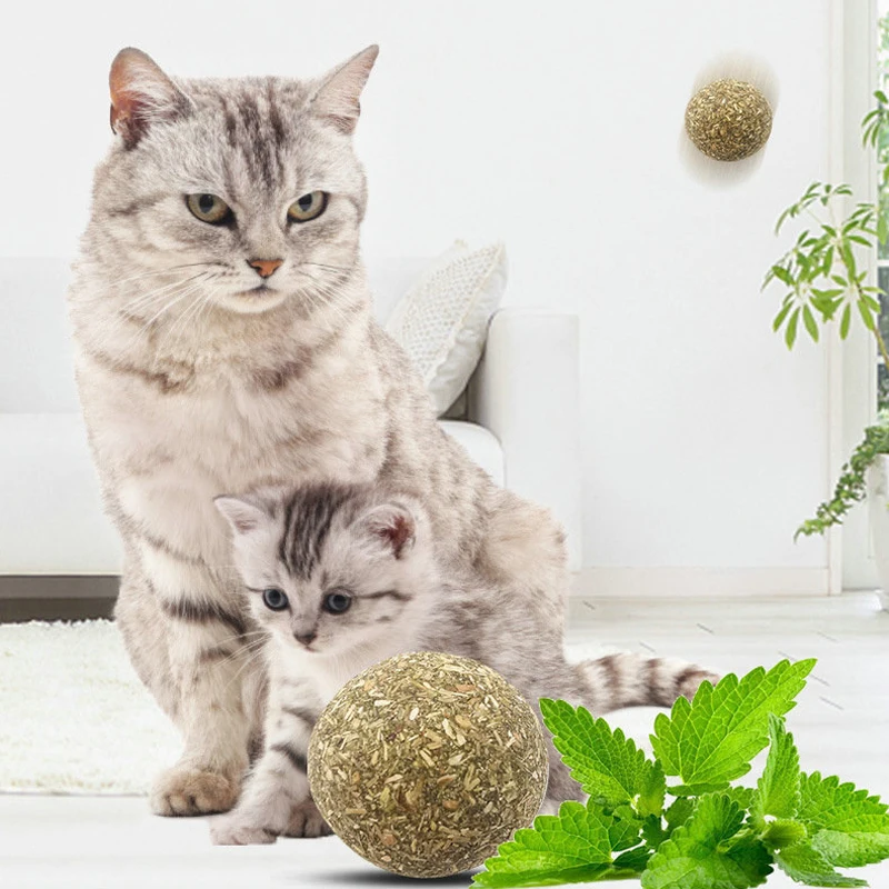 

Pet Catnip Edible Catnip Menthol Ball Safety Healthy Mint Cats Home Chasing Kittens Toy Products Clean Teeth The Stomach Catmint