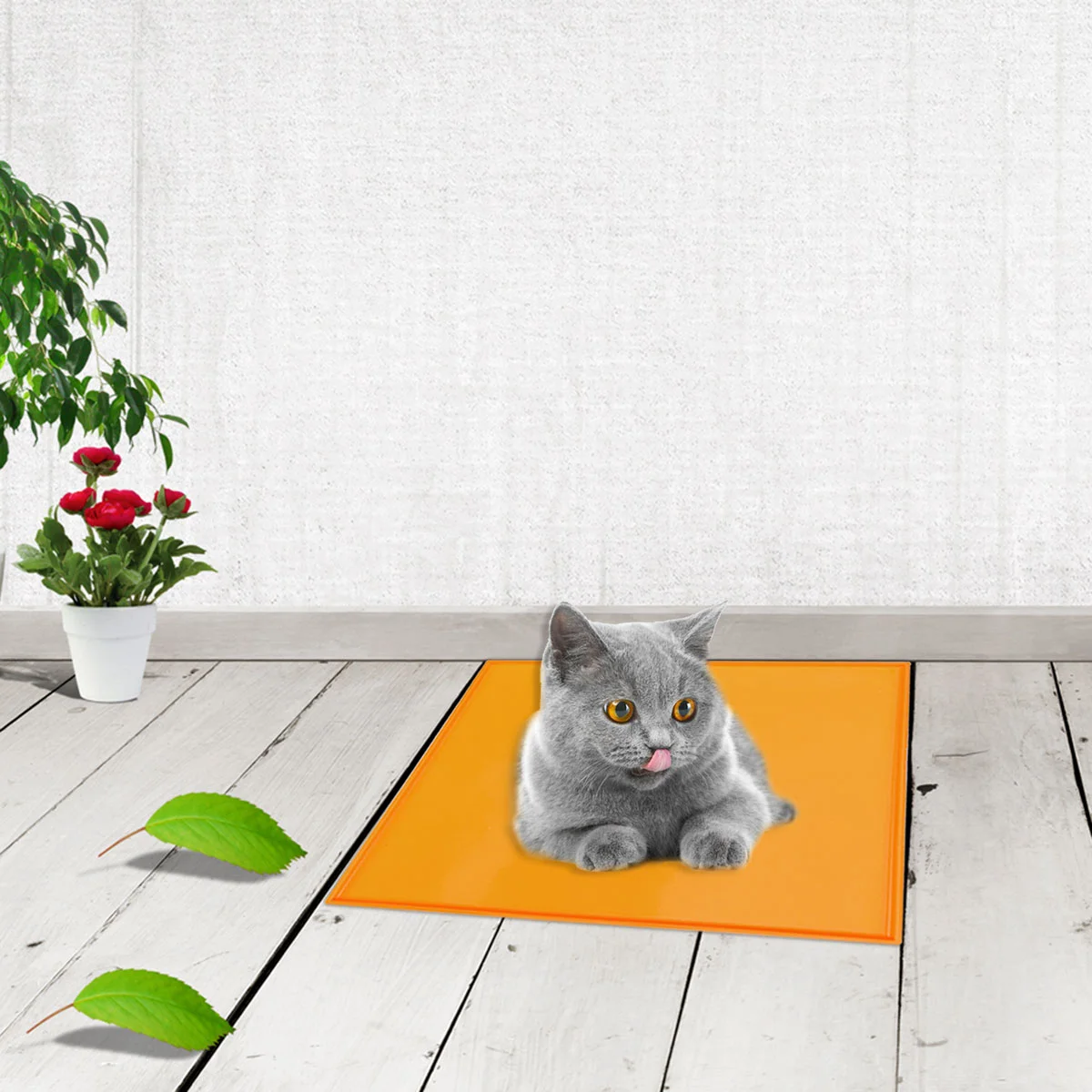 

Silicone Mat Waterproof Mat Table Placemat for Kids Children Cat