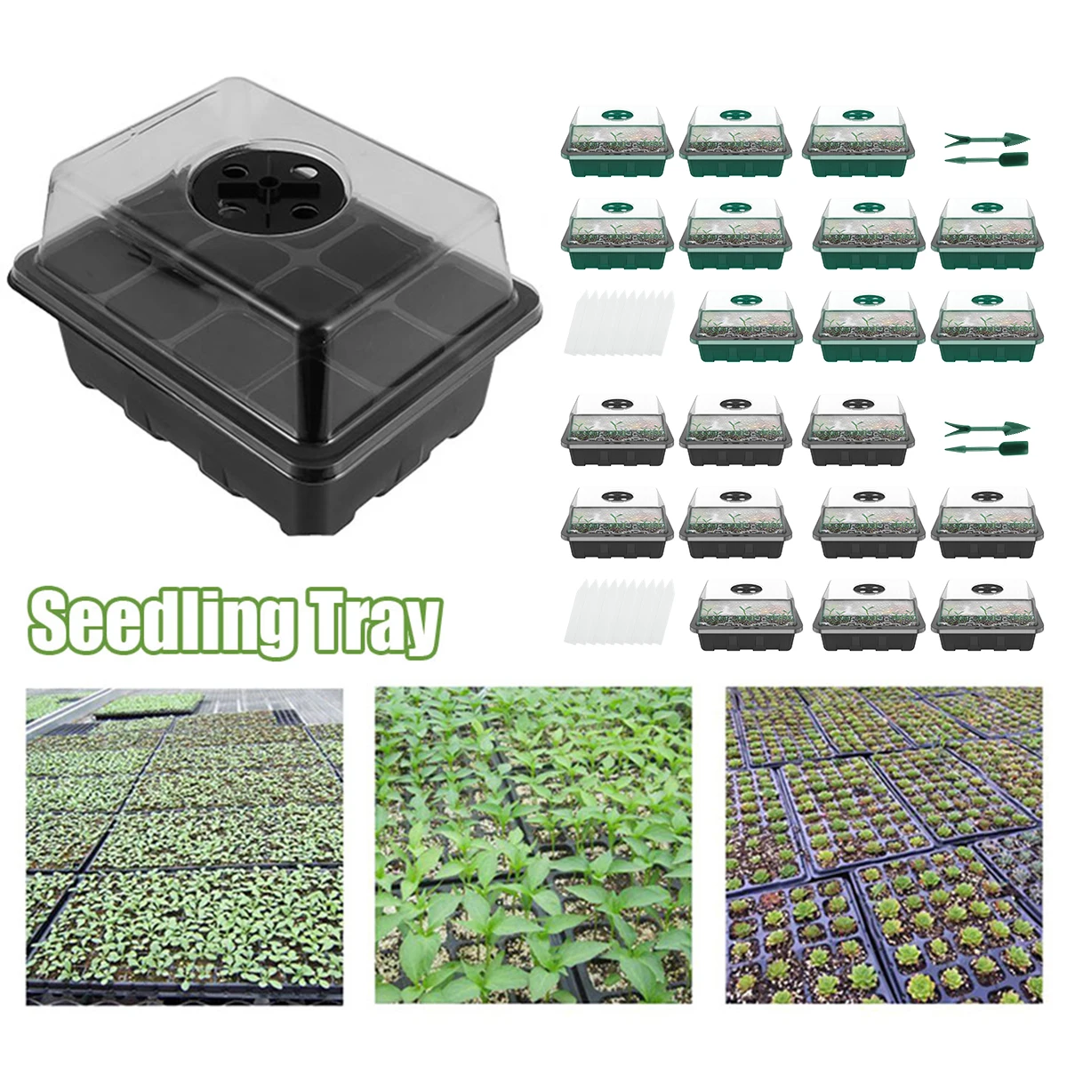 

Seedling Starter Kit Plastic 10Pcs 12 Holes Seed Starter Tray Kit with Adjustable Vents Multifunctional Seed Propagator Set with