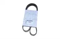 

117207930R для 6 PK1173 channel V KAYISI HM HMAD 1,5 DUSTER 1.9D R19