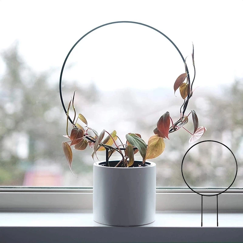 1 шт. железная стойка для поддержки садовых растений подставка в форме сердца