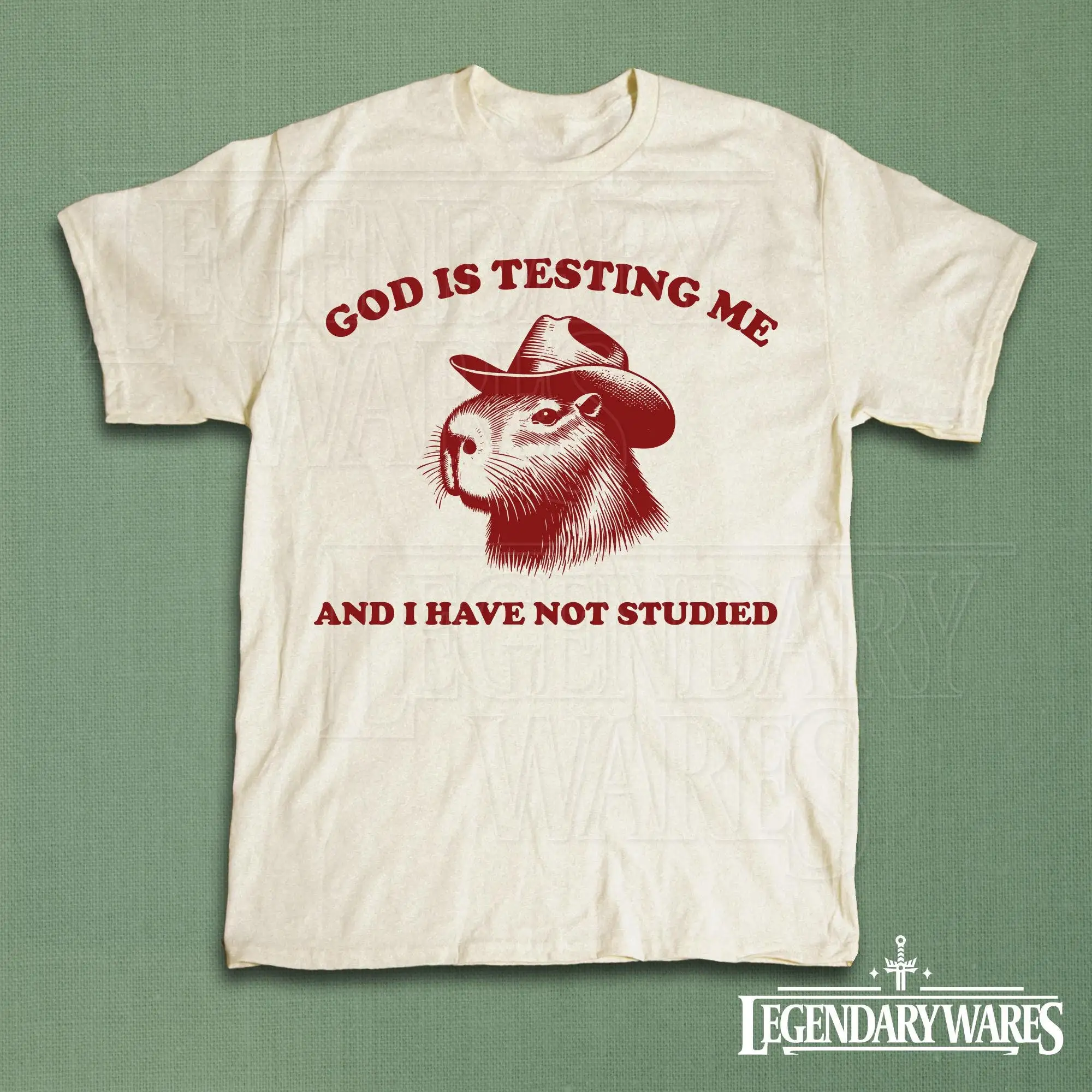 Забавная футболка с изображением капибары ковбойского хая GOD IS TESTING Me