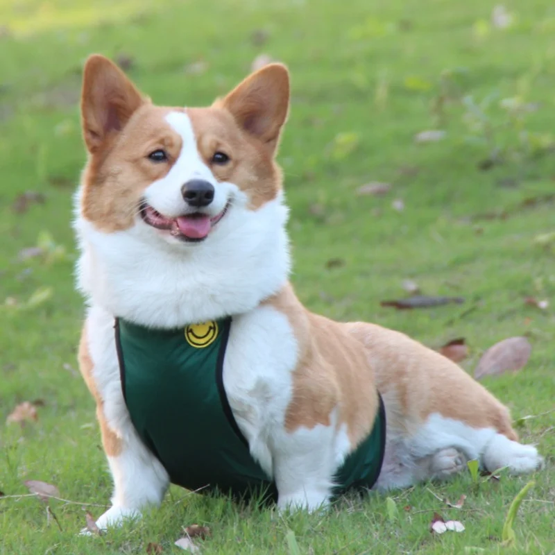 

Corgi Dog Belly Pocket Waterproof Anti-dirty Pet Clothes Outdoor Solid Color Pet Vest Bib Small and Medium-sized Dog Clothes