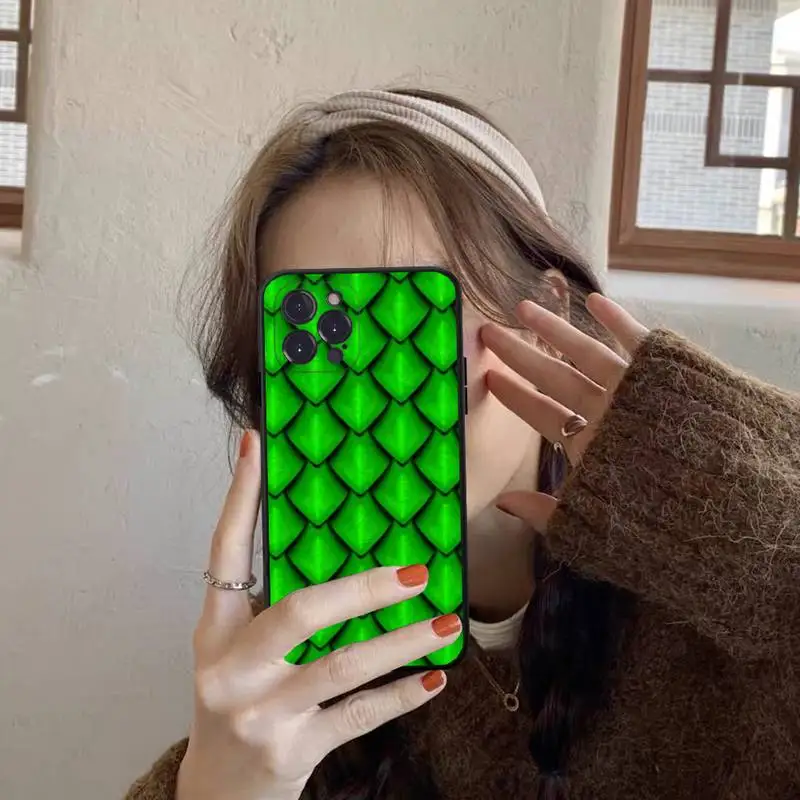 FHNBLJ Чехол для телефона с чешуей дракона силиконовый мягкий чехол iphone 14 13 12 11 Pro Mini