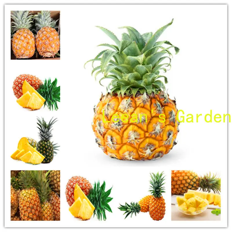 

150 шт., ананас, ананас, семена фруктов для сада, сладкие сочные вкусные фрукты в горшке, семена растений «сделай сам»