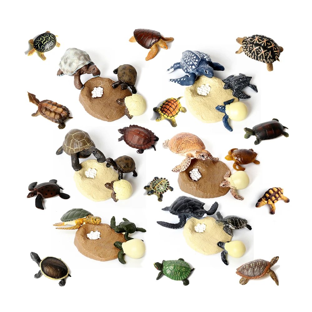 

Realistic Plastic Ocean Sea Turtle Reptile Animal,Tortoise Life Growth Cycle Biological Model Figure Party Favor Decorations Toy