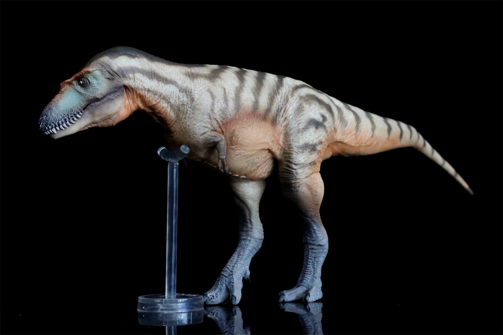 Фото PNSO 71 Gorgosaurus модель Тристана тираннозавр доисторические животные наука динозавр Коллекция Декор подарок Детская развивающая игрушка №3