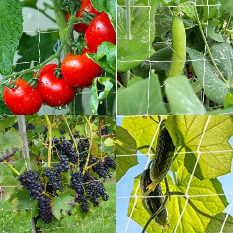 

Gardening Trellis Netting Heavy-Duty Plant Support Stand for Beans Tomatoes Peas Easy To Install Blackberries Climbing Tool