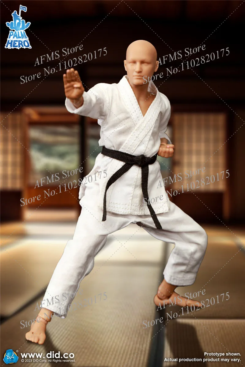 Hot Toys The Simply Fun DID SF80001 1/12 Мужская фигурка каратиста