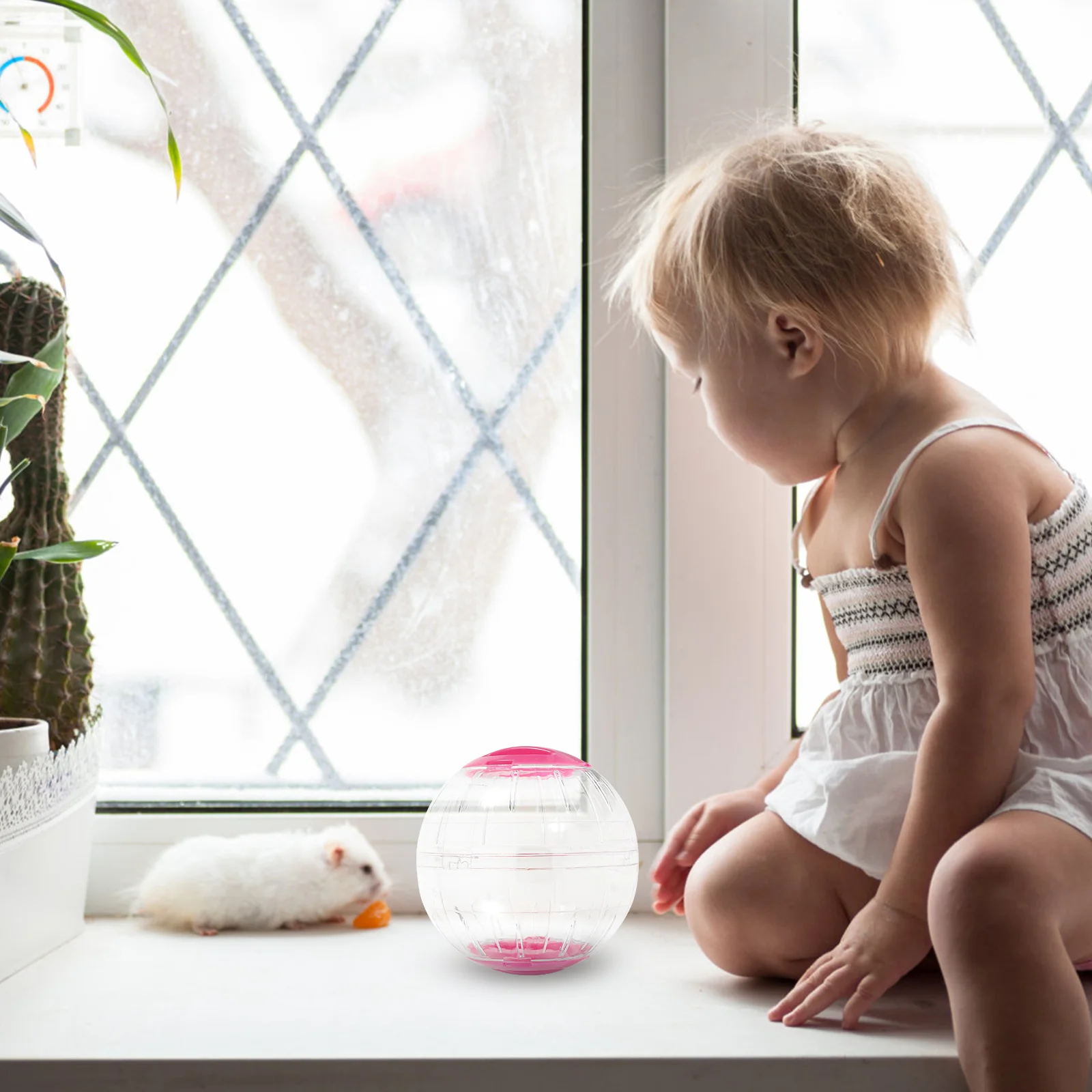 Игрушки для упражнений хомяков аксессуары маленьких животных мяч щенков