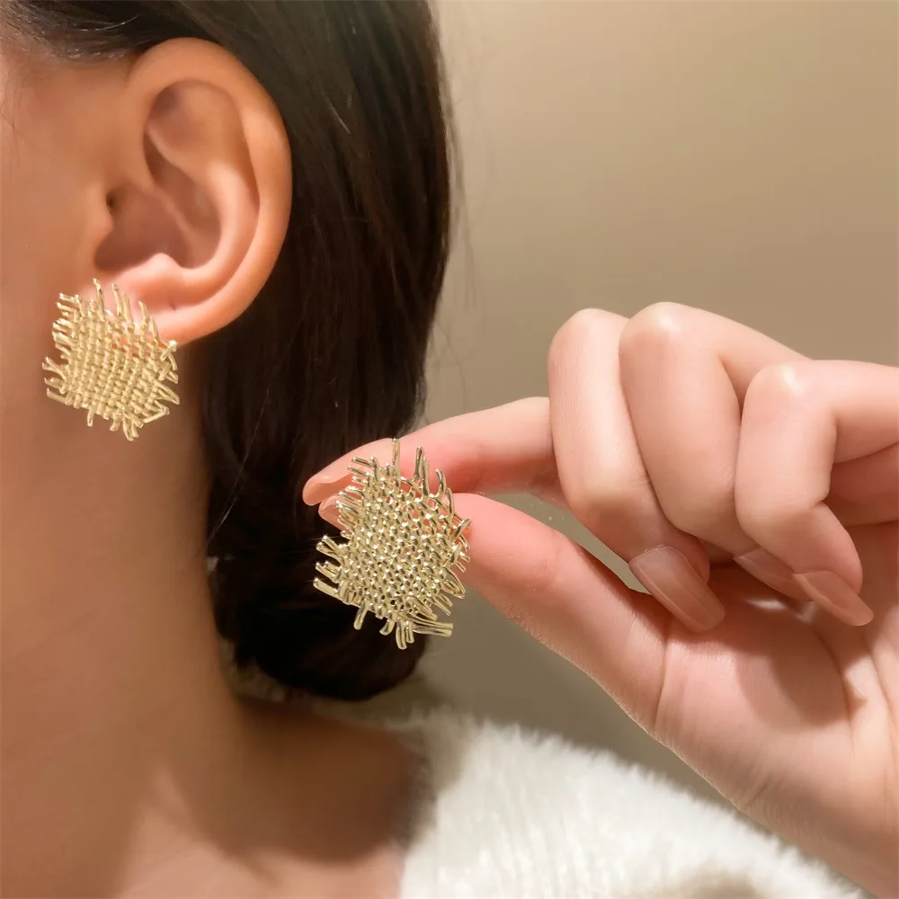 

Korean irregular braided earrings female French light luxury niche design mesh fashion studs retro net red earrings