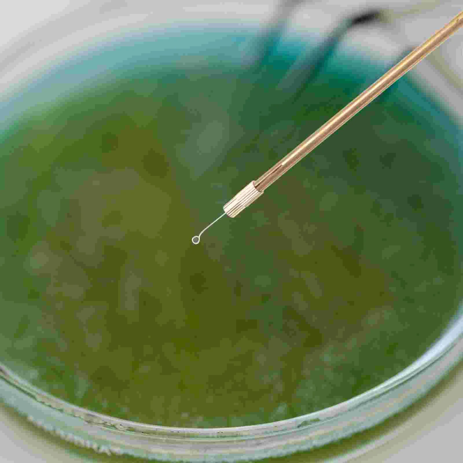 

Inoculation Set Inoculation Kit Microbiology Inoculation Rings Kit Tool Microbiology Inoculation Rods Inoculation Set