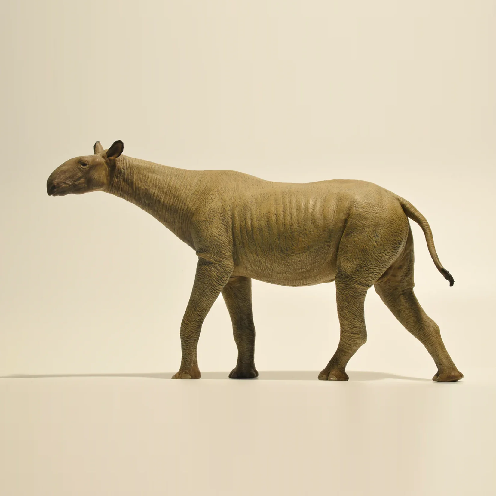 Фото Фигурка Eofauna Paraceratherium Grangeri в масштабе 1:35, из семейства Paraceratheriidae, гигантский прародинозавр, коллекционная модель для декорации сцен №1