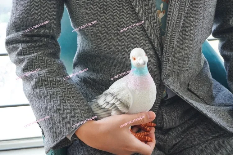 Эта же Сумочка Wanerson для голубей в Японии была и сумочка случайным образом