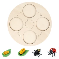 life cycle board ladybug life cycle board set life cycle stages kids teaching tools animal growth cycle model