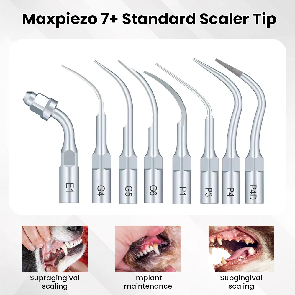 Фото Sinohero ветеринарный стоматологический ультразвуковой скалер ветеринарный стоматологический аппарат оборудование №3