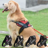 dog harness vest with leash reflective breathable adjustable pet harness for walking cats dogs supplies drop shipping cw356