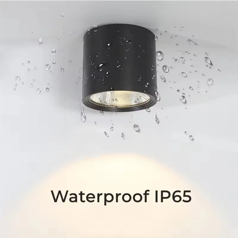 

Светодиодные потолочные светильники oeny, черный, алюминий, IP65