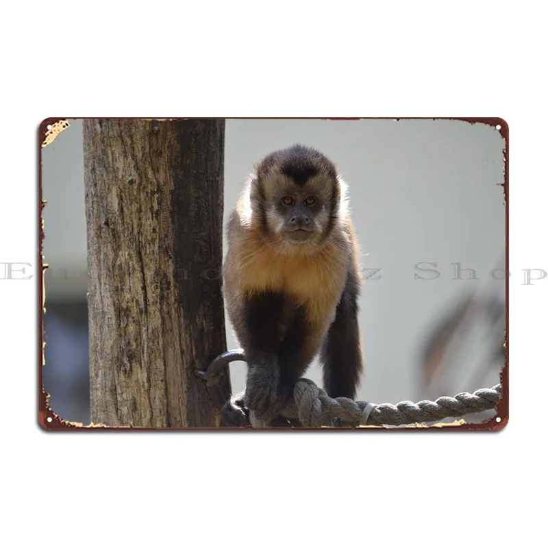 

Металлический знак обезьяны, Забавный настенный плакат на заказ, Настенная пещера, клубный жестяной плакат