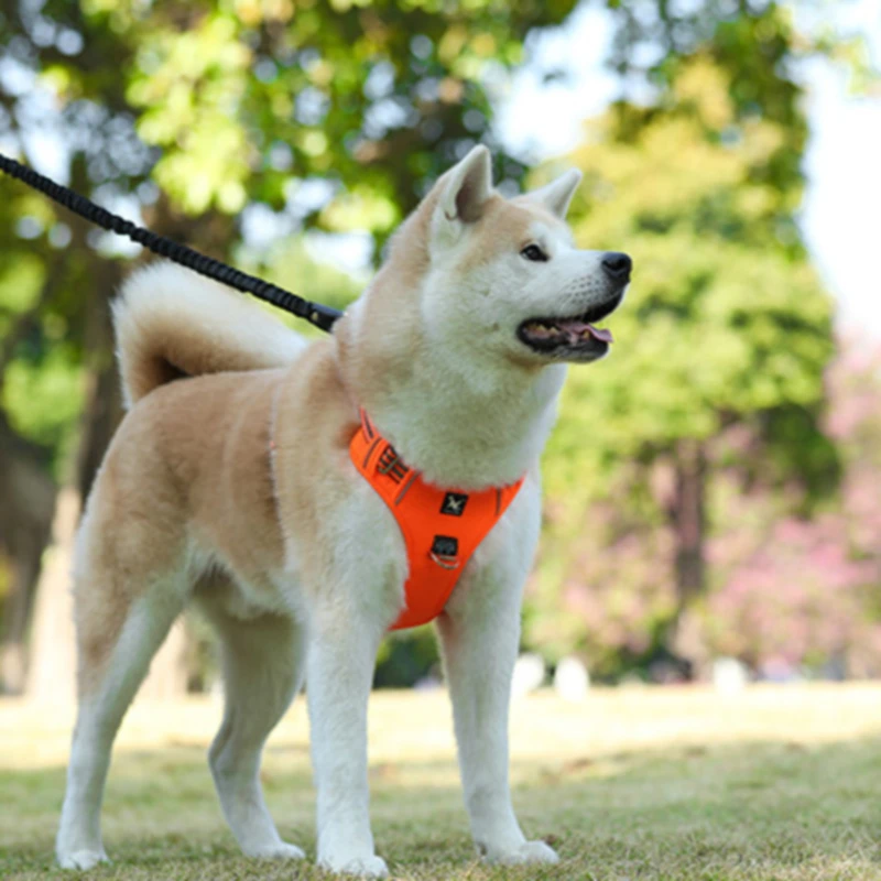 

Dog Harness Adjustable Safety Lead Straps Breathable Dog Harnesses Walking Training Perros Accesorios