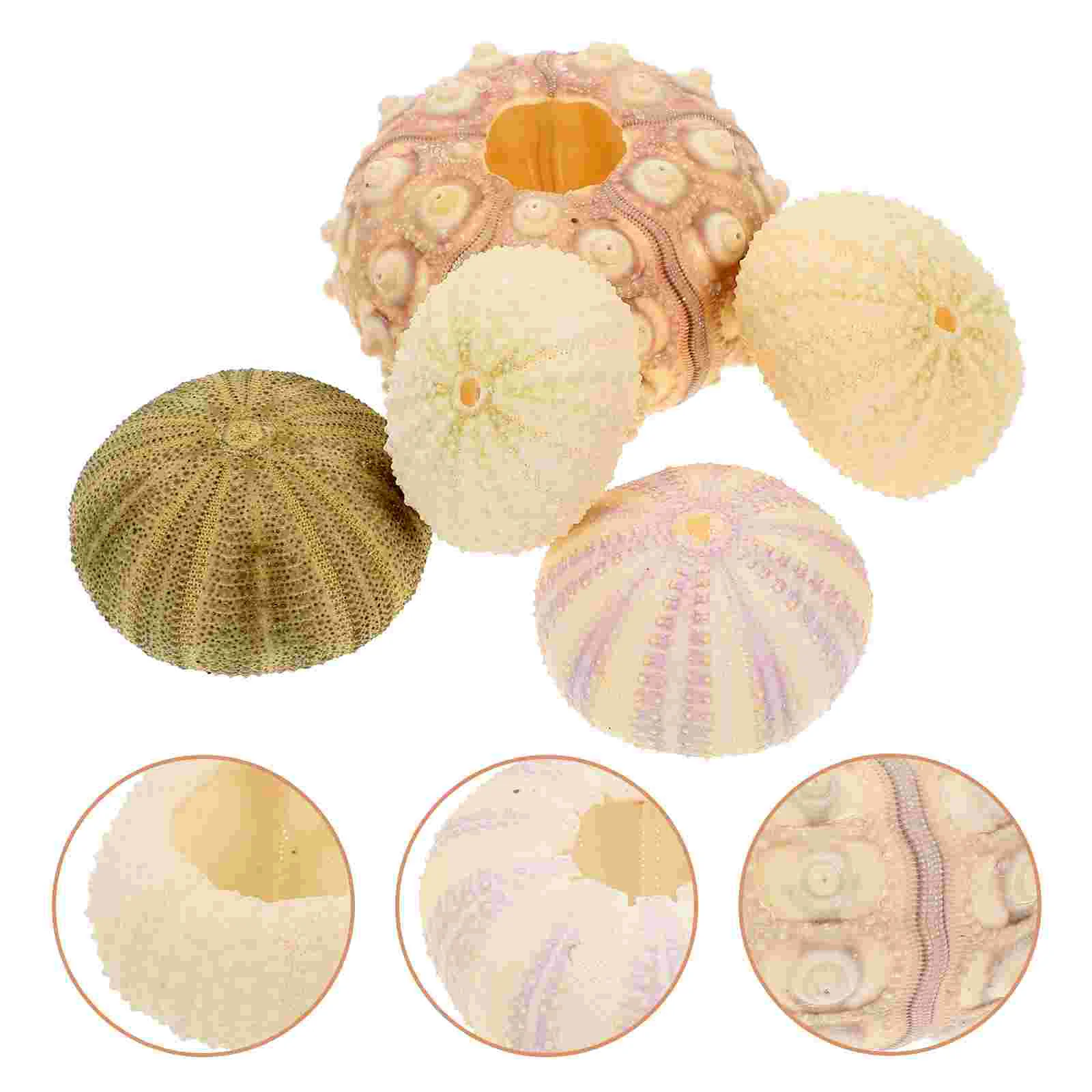 

Sea Urchin Decor Decors Diy Pot Tank Airfish Desktop Tabletopminiature Flower Aquarium Landscape Ornaments
