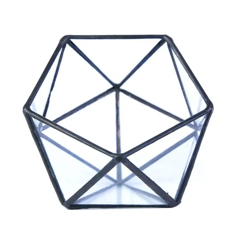 Mini Glass Geometric Terrarium Container Glass Flower Pot for Window Balcony images - 6