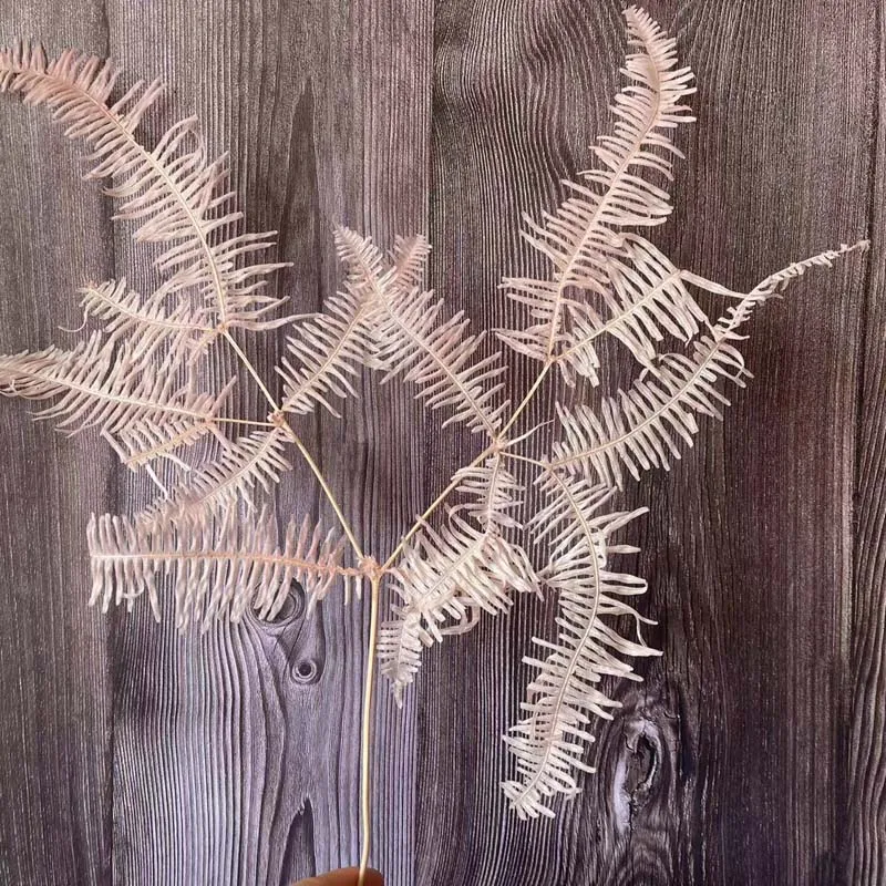 10 шт./около 30*40 см Osmunda Japonica различных форм и размеров |