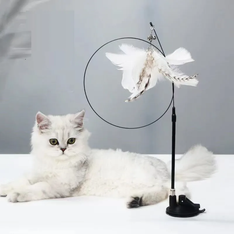 

Sucker Cat Stick Absorbable and Hand-held Steel Wire Funny Cats Stick Feather Replacement Head Cat Toy Pet Toys Gatos