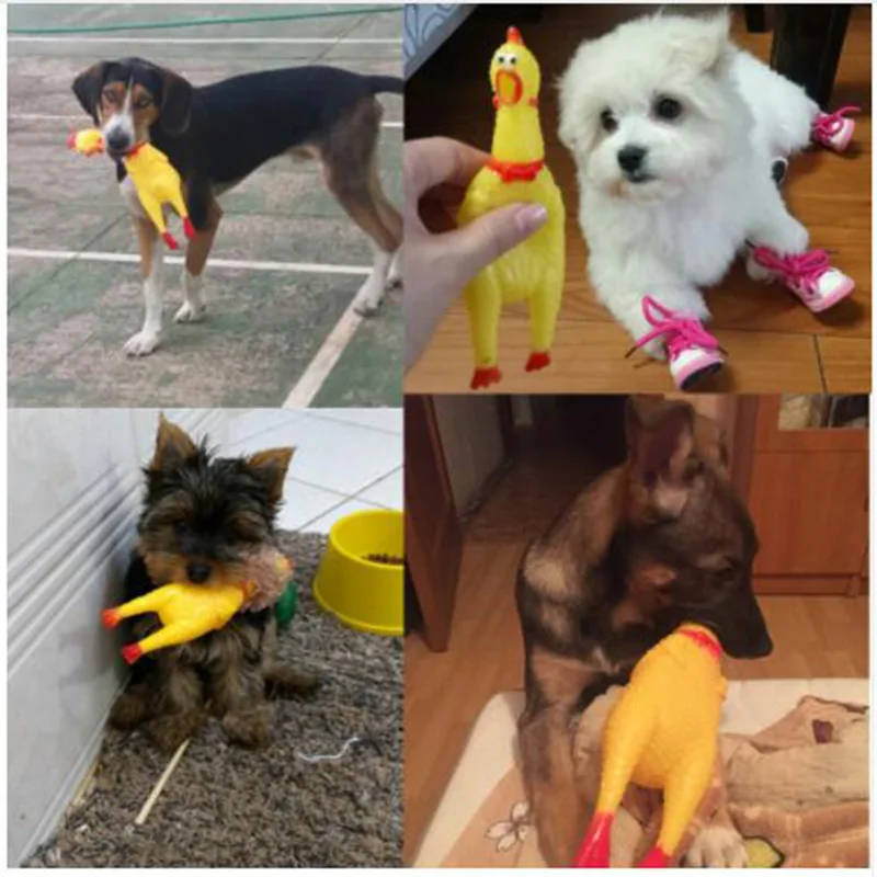 

Funny Pet Dog Toys with Squeaky Screaming Rubber Chicken and Rooster Crow Sound for Puppy and Cat, Free Shipping in S-L Sizes