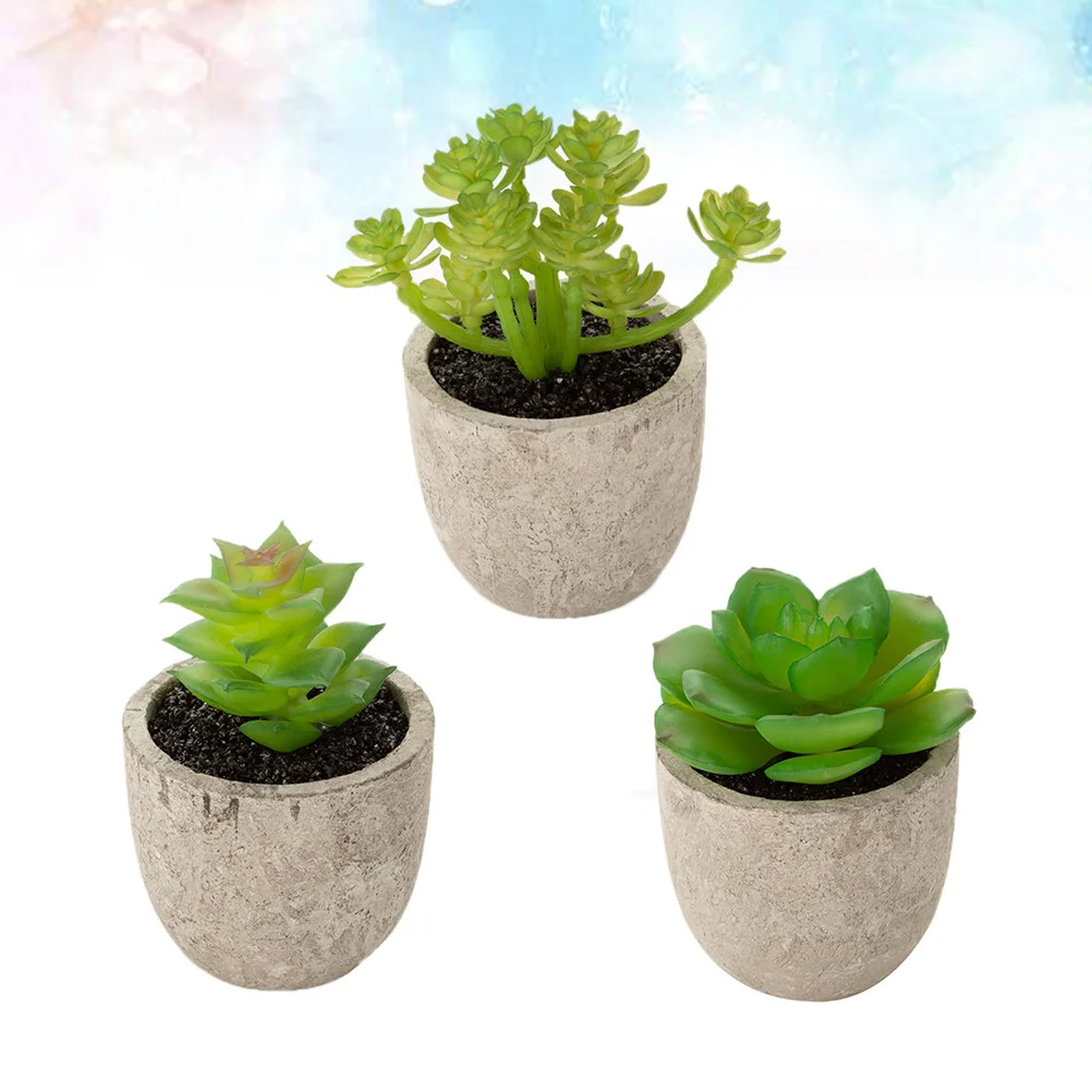 

3 Pcs Bonsai Succulent Basin Simulation Plants Pot Green Decorate Pots Desk Topper