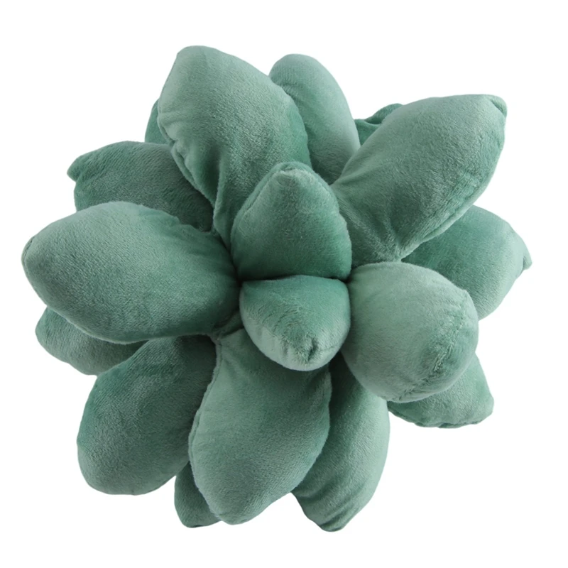 Суккуленты подушка суккуленты планкуленты милые для сада или зеленых влюбленных