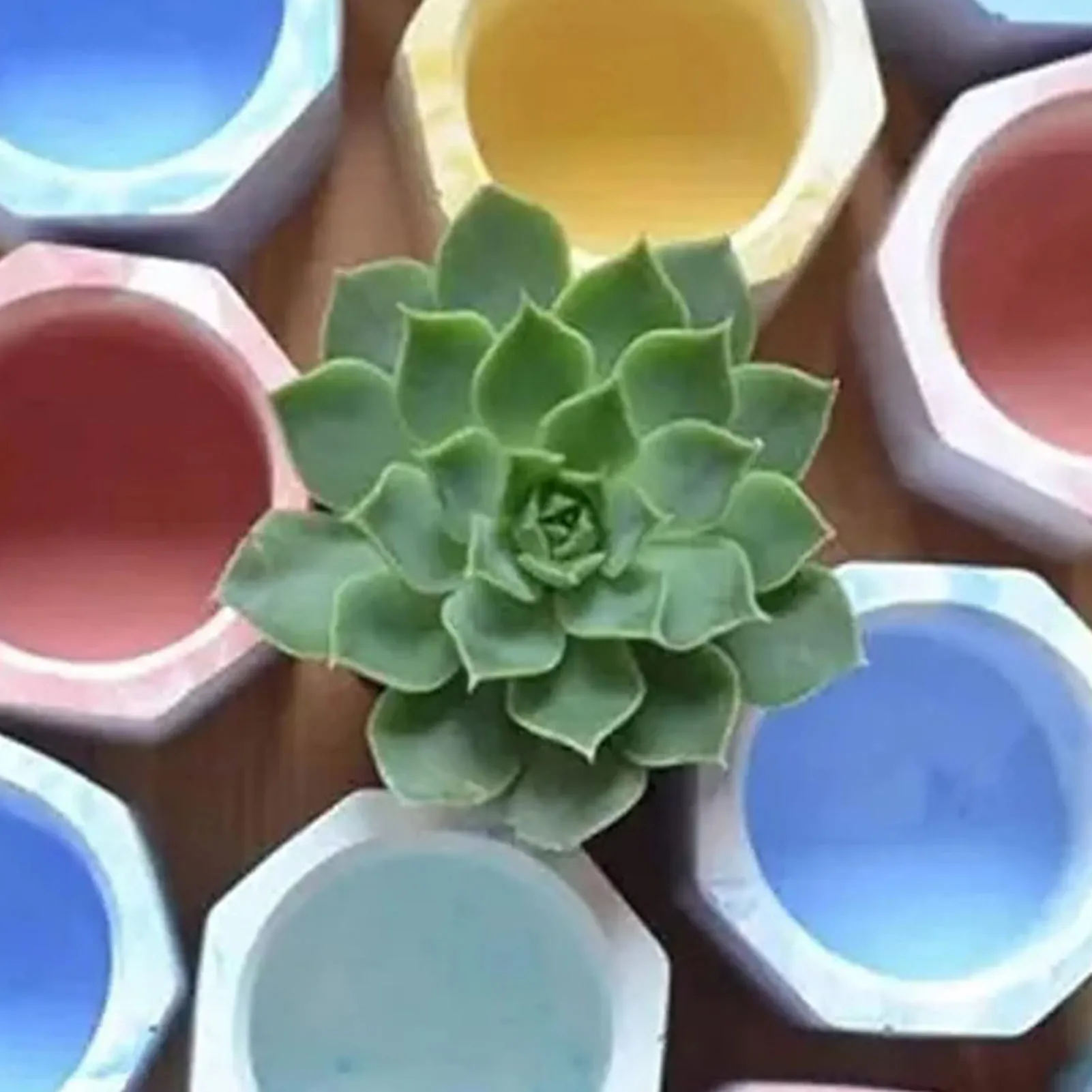 Силиконовые формы для цветов 3 шт |