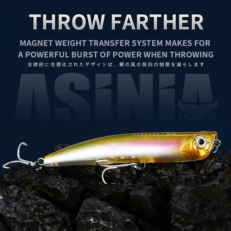 ASINIA Новое поступление 100 мм 10 г горячая модель топвотер приманки жесткая приманка