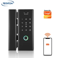 tediton wifi remote control tuya app biometric fingerprint digital smart glass door lock for office