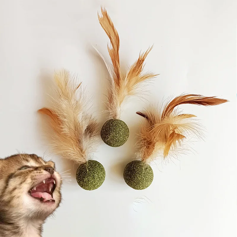 

Cat Mint Ball Cat Feather Toy Ball Cat Snack Tooth Cleaning Molar Hair Removing Ball Cat Grass Cat Toys Interactive Catnip Ball