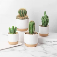 cactus succulent plants green plant flower containers indoor orchid pots with drainage hole self watering flower pot