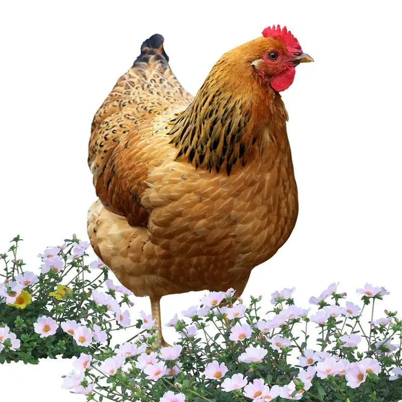 

Outdoor Chicken Decor Hen Statue 2D Acrylic Decor Realistic Chicken Sculptures For Farm Garden Patio Lawn Yard Decorations