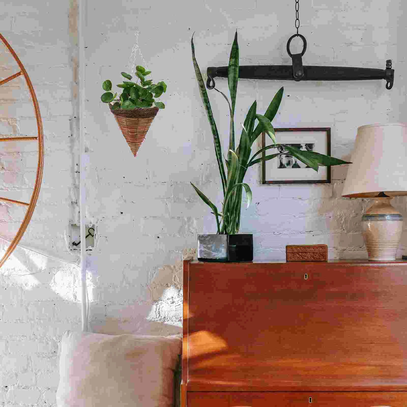 50 шт. подвесные кормушки для белки