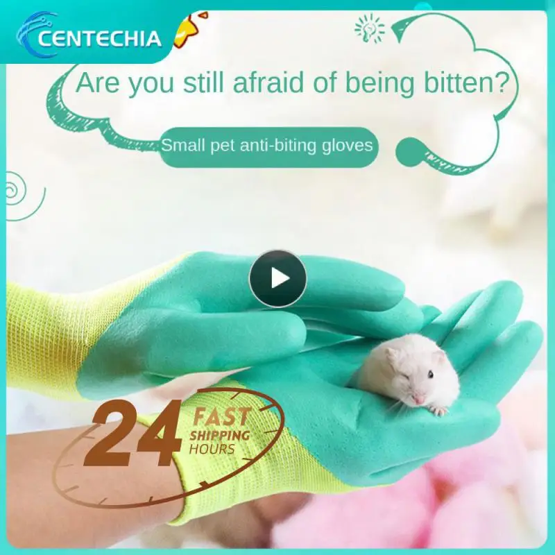 

It Can Effectively Improve Work Efficiency. Rubber Glove Comfortable And Flexible Exquisite Workmanship. Training Pet Gloves