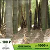 Изображение товара 0