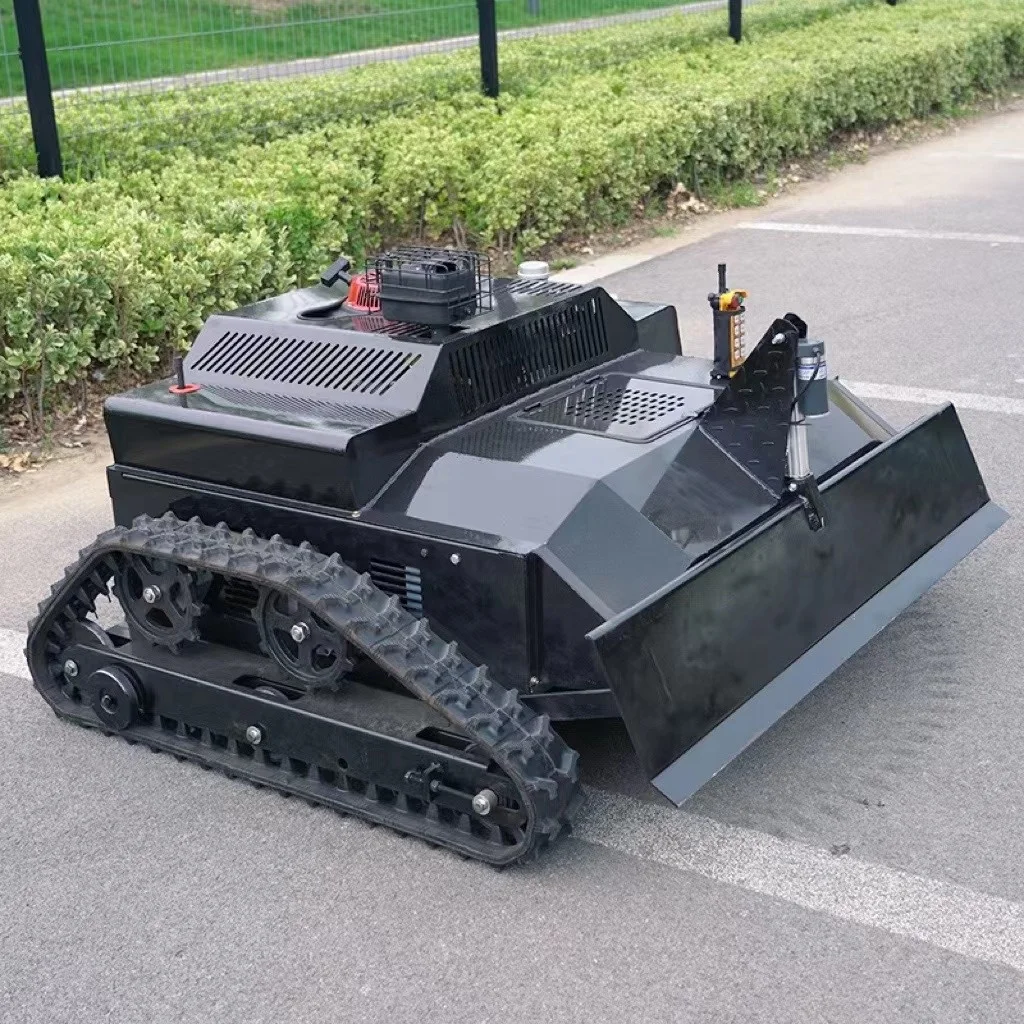 Рисунок 4 - Многофункциональная роботизированная