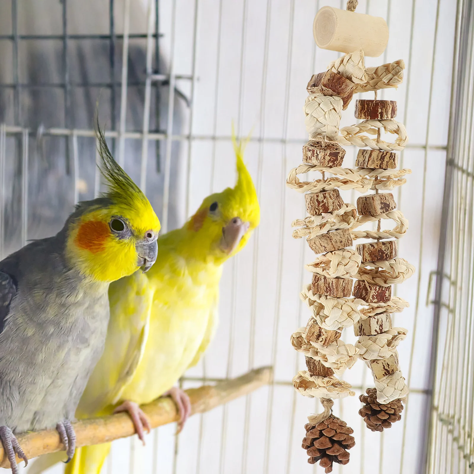 

The Birdcage Parrot Hanging Chewing Toy Solid Wood Delicate Pet Plaything Foraging