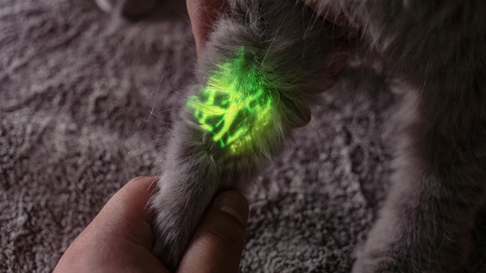 Медицинский проекционный ручной прибор для обнаружения венозных сосудистых