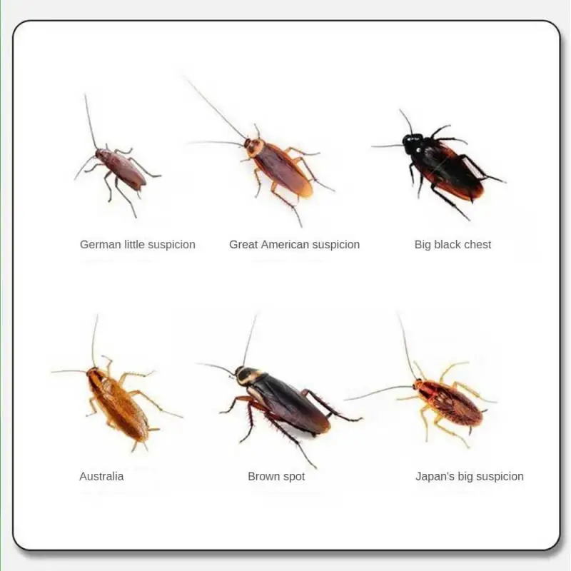 100 шт. гранулы для тараканов порошок сильный инсектицид убийца приманка клей