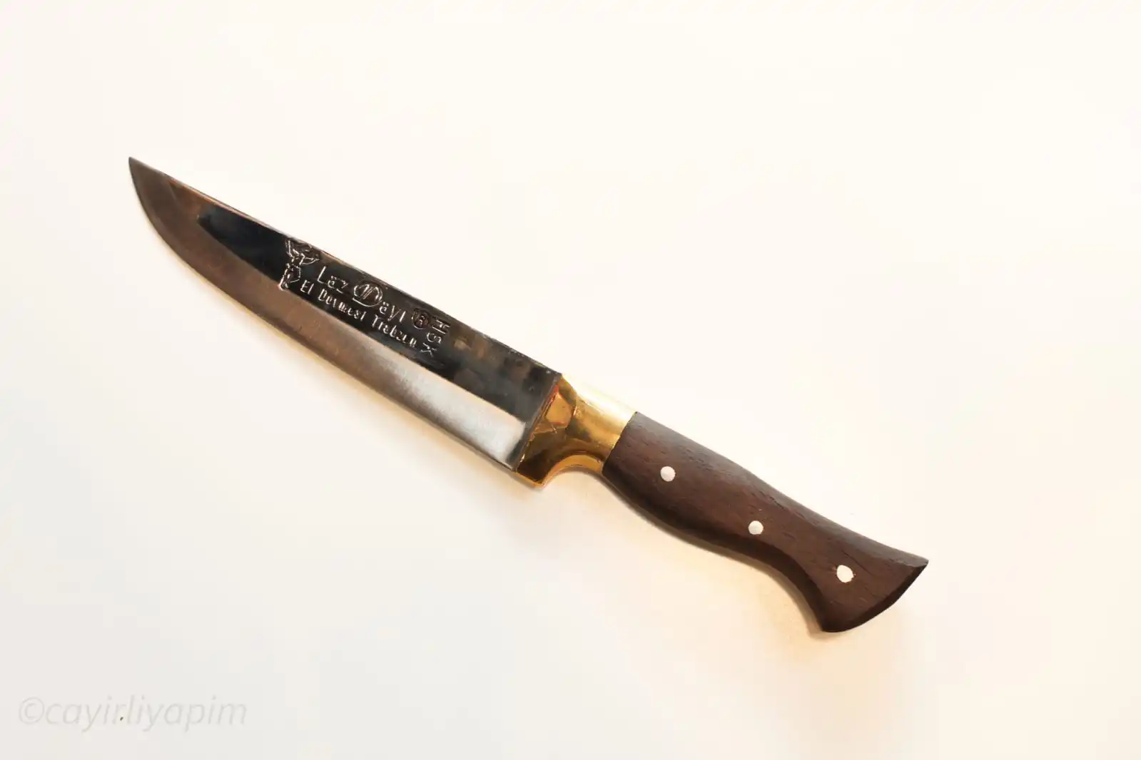 

France Steel Chef Knife