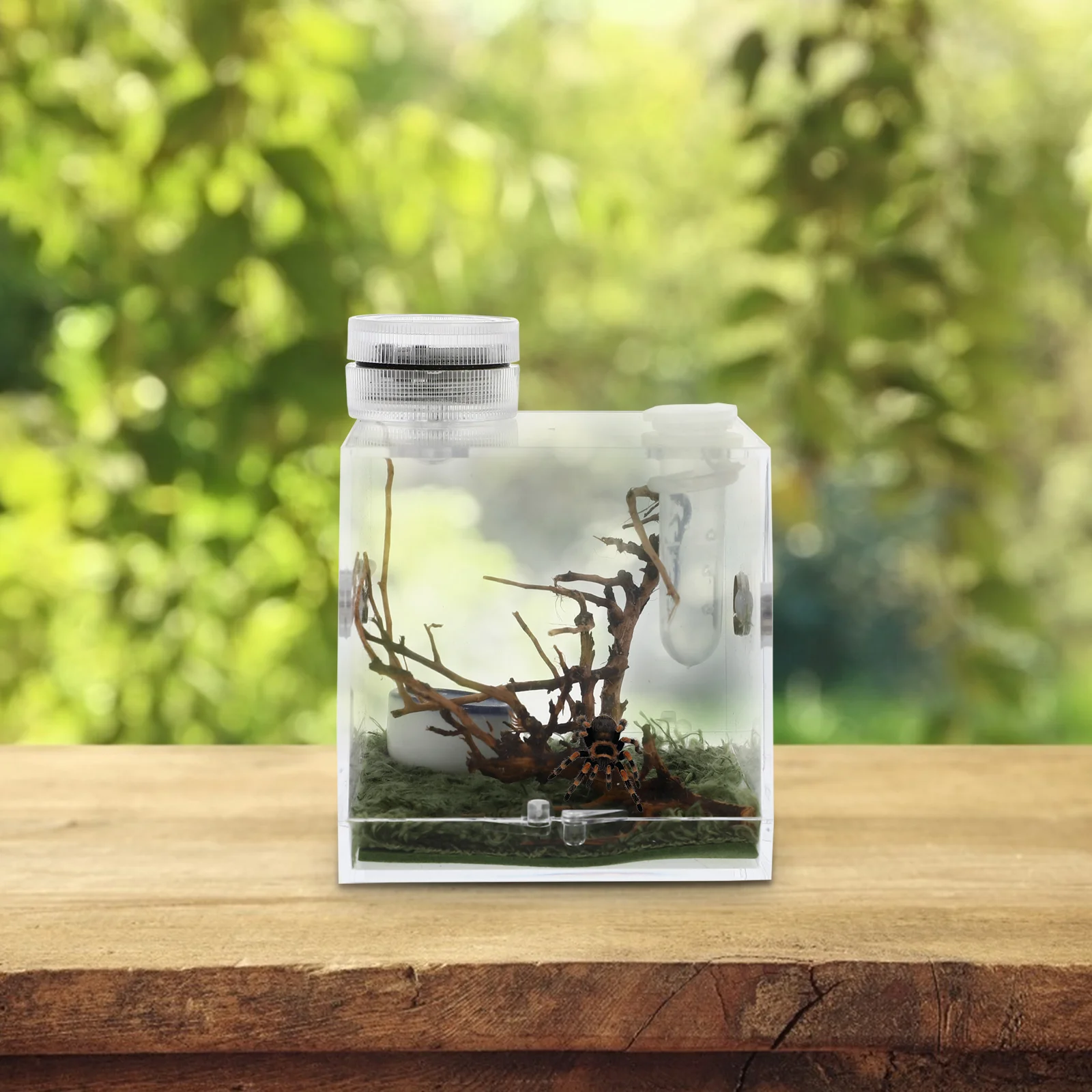Микро среда обитания террариумы пауки прыжки ящик для разведения миниатюрный