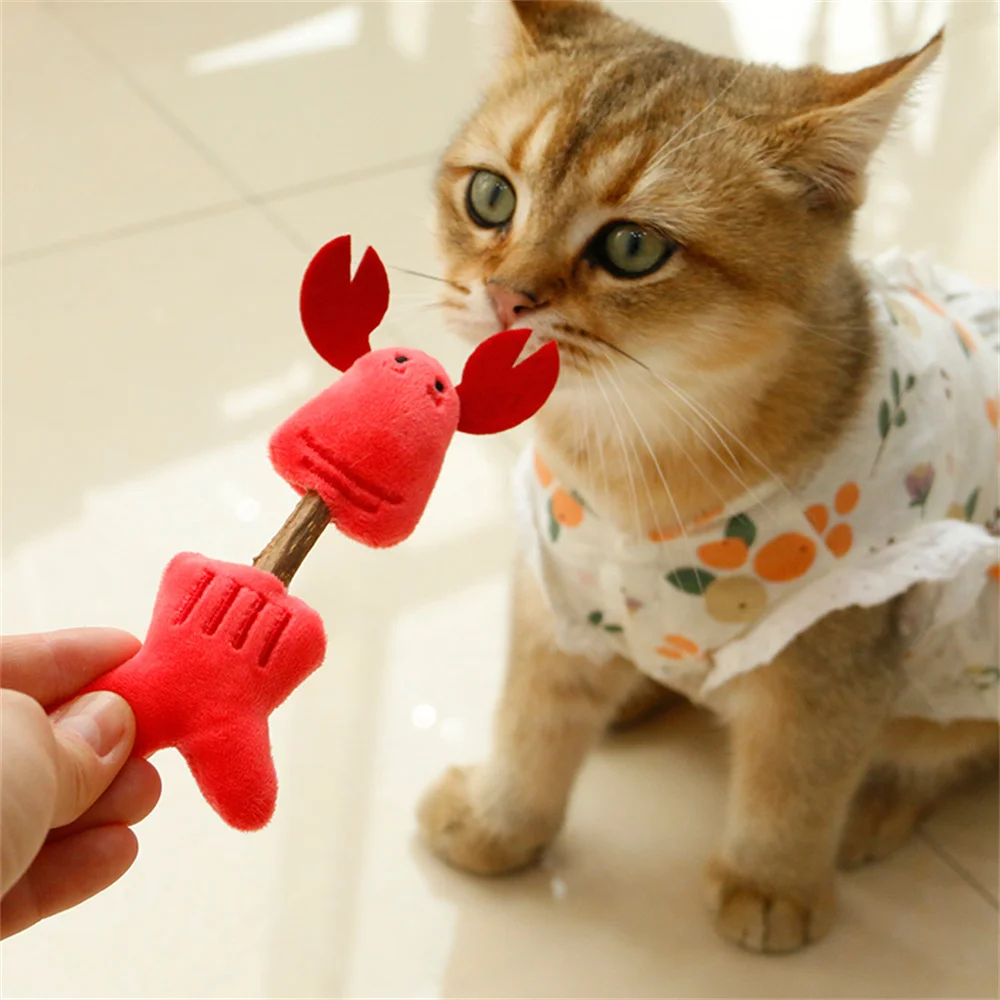 

Catnip Toy Cat Mint Toys Wooden Polygonum Tooth Grinding Rod Cleaning Teeth Cats Snacks Kitten Doll Pet Supplies Cat Accessories